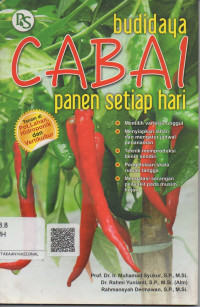 Budidaya Cabai Panen Setiap Hari