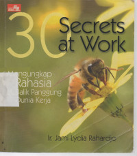 Tiga Puluh 30 Secrets At Work