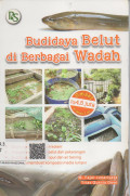 Budidaya Belut di Berbagai Wadah