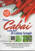 Panen Cabai Setiap Hari di Lahan Sempit