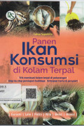 Panen Ikan Konsumsi di Kolam Terpal