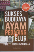 Sukses Budidaya Ayam Pedagang & Telur